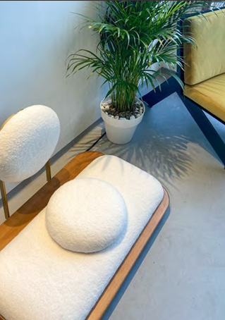 Furniture & Details project 2